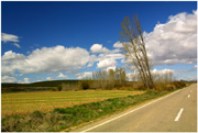 CAMINOS VERDES