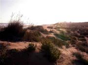 Dunes dels Muntanyans, Torredembarra