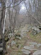 Camí empedrat, Dorres, Alta Cerdanya