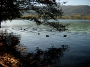 LLac de Banyoles 2  de 2