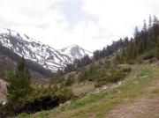 Capçalera Vall de la Galba, Esposouilles.