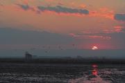 Vespre a l'Albufera.