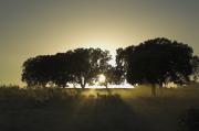 Posta de sol