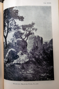 Dolmen del Puig de las Forcas, Palamos