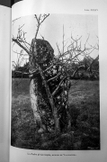 La Pedra de les Gojas, Menhir de Vallbanera