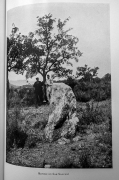 Menhir en San Sadurní