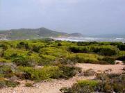 Platja des Cavallet, Ibiza