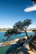 S'Agarò. Camí de ronda