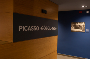 Cartell informatiu 01d06