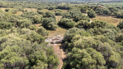 Sepulcre de ses Arenes de Baix