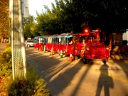 El tren pinxu de Banyoles.