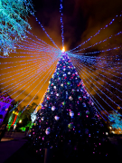 Passejant per l'Hospital de Sant Pau