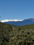 Passejant pel poble