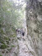 Gorges de Vaumale, Murs