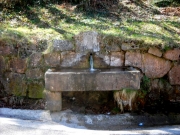 Font la pastureta