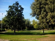 LLac darrera el pabelló, esportiu Granollers