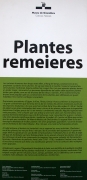 Cartell: Plantes remeieres
