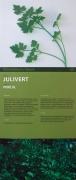 Cartell: Julivert (Petroselinum crispum)