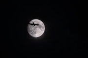 La lluna i l'avió