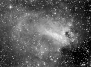 Nebulosa Omega (M17)