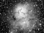 Nebulosa Trífida (M20)