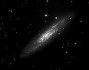 NGC 253