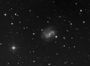 Galàxia espiral barrada NGC4051