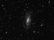 Galàxia NGC5033