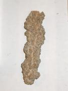 Fulgurita